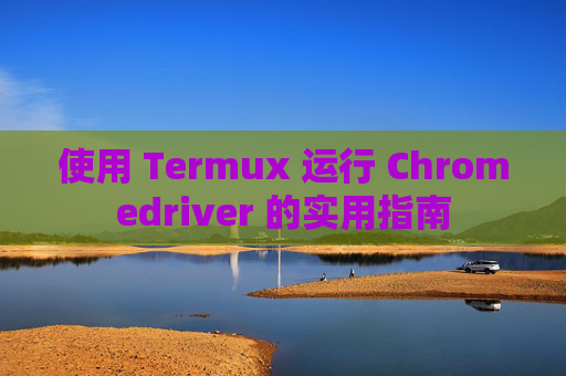 使用 Termux 运行 Chromedriver 的实用指南