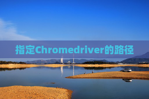 指定Chromedriver的路径