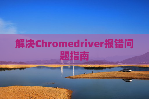 解决Chromedriver报错问题指南